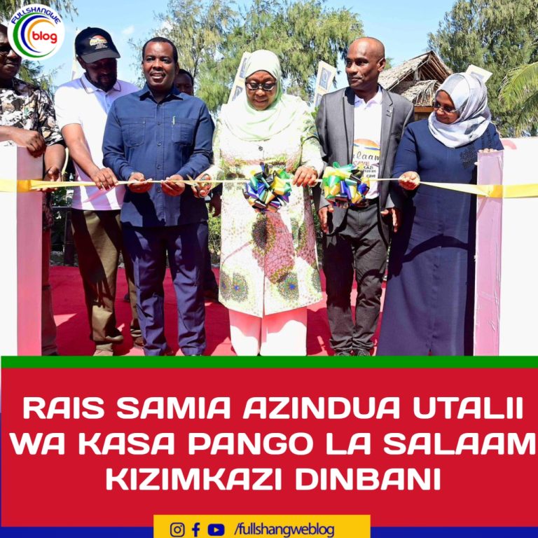 RAIS SAMIA AZINDUA UTALII WA KASA PANGO LA SALAAM KIZIMKAZI DINBANI