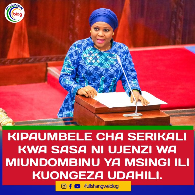 KIPAUMBELE CHA SERIKALI KWA SASA NI UJENZI WA MIUNDOMBINU YA MSINGI ILI KUONGEZA UDAHILI.