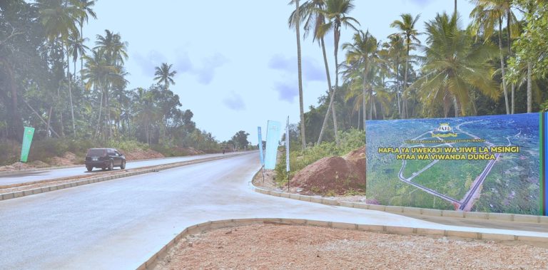 RAIS WA ZANZIBAR MHE.DK.T. MWINYI AMEWEKA JIWE LA MSINGI ENEO LA MTAA WA VIWANDA DUNGA ZUZE MKOA WA KUSINI WILAYA YA KATI UNGUJA