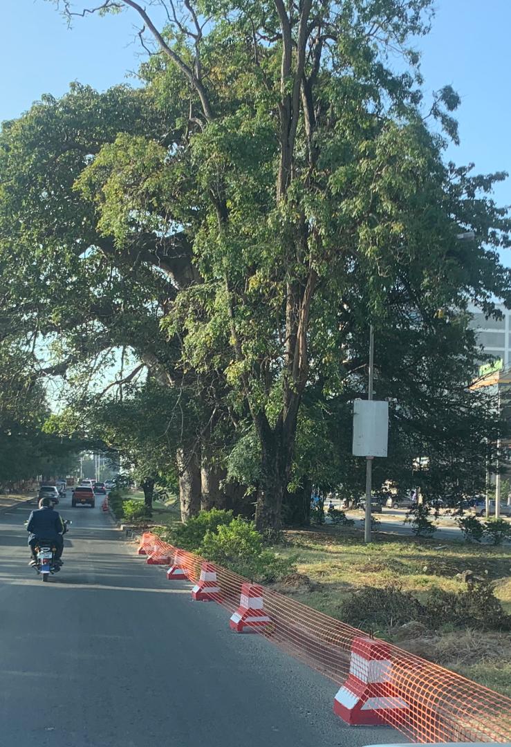MTI WA MBUYU KATIKA KITUO CHA MBUYUNI HAUTAATHIRIWA NA UJENZI WA MABASI YAENDAYO HARAKA (BRT 4), JIJINI DAR ES SALAAM