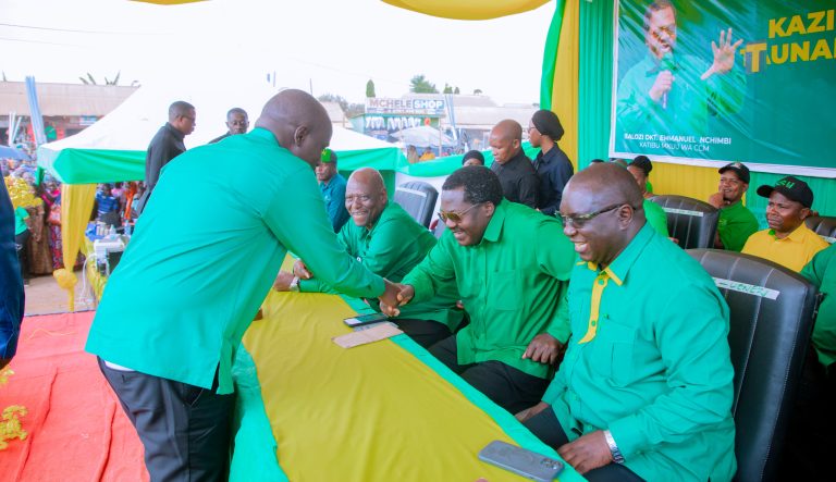 DKT. NCHIMBI KUZUNGUMZA NA WANANCHI WA KATORO MKOANI GEITA