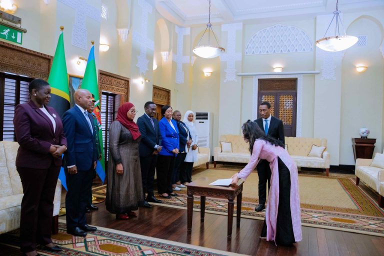 RAIS DKT. SAMIA APOKEA HATI ZA UTAMBULISHO KUTOKA KWA MABALOZI WA NCHI MBALIMBALI