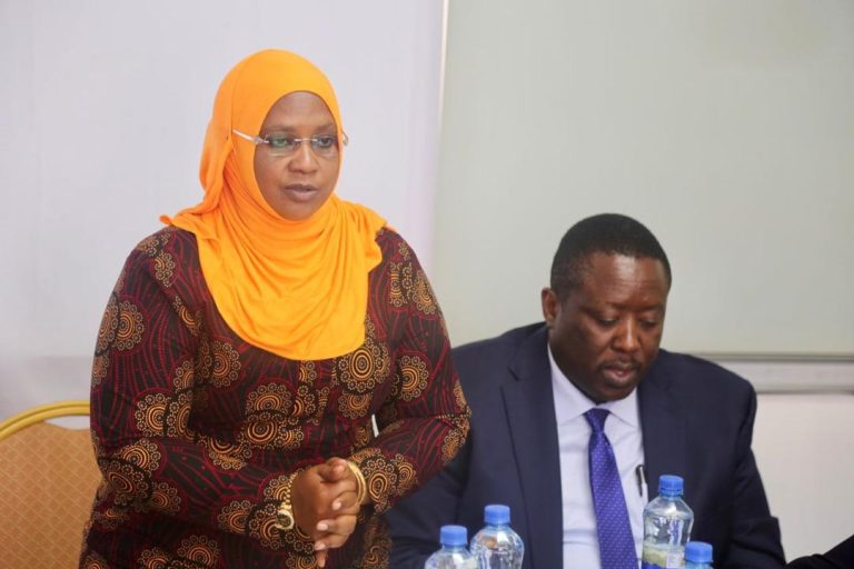 SERIKALI KUFANYA TATHMINI MAENEO MBALIMBALI NCHI KUBAINI ATHARI ZA MAFURIKO