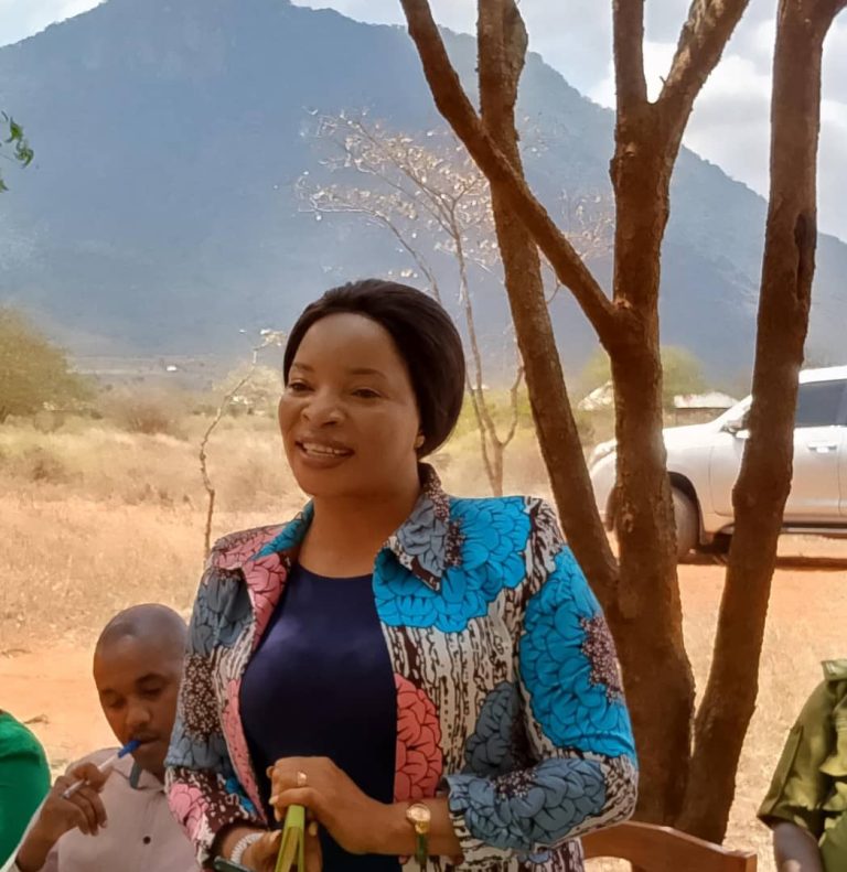 SITAKI KUONA MIFUGO IKICHUNGWA MJINI – DC SAME.