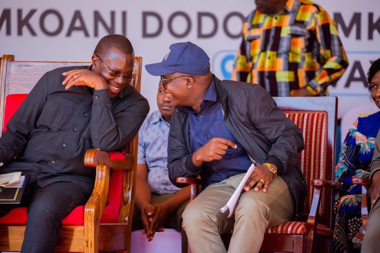 DKT. MPANGO AILEKEZA WIZARA YA MADINI KUSIMAMIA MADINI MKAKATI KWA MANUFAA YA WATANZANIA