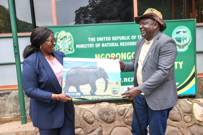 NGORONGORO IMEITIKA, WATALII 800 KUTOKA TUGHE WASHUHUDIA UTALII MBASHARA KRETA YA NGORONGORO