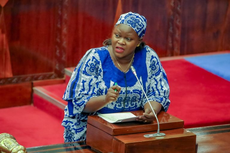 KAPINGA: MIRADI YA NISHATI UNUFAISHA WANANCHI WANAOIZUNGUKA 
