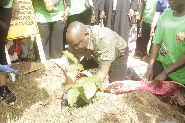 DKT MWASE – AHIMIZA UPANDAJI WA MITI NA KUISIMAMIA KATIKA UKUAJI WAKE MPAKA IWE MIKUBWA