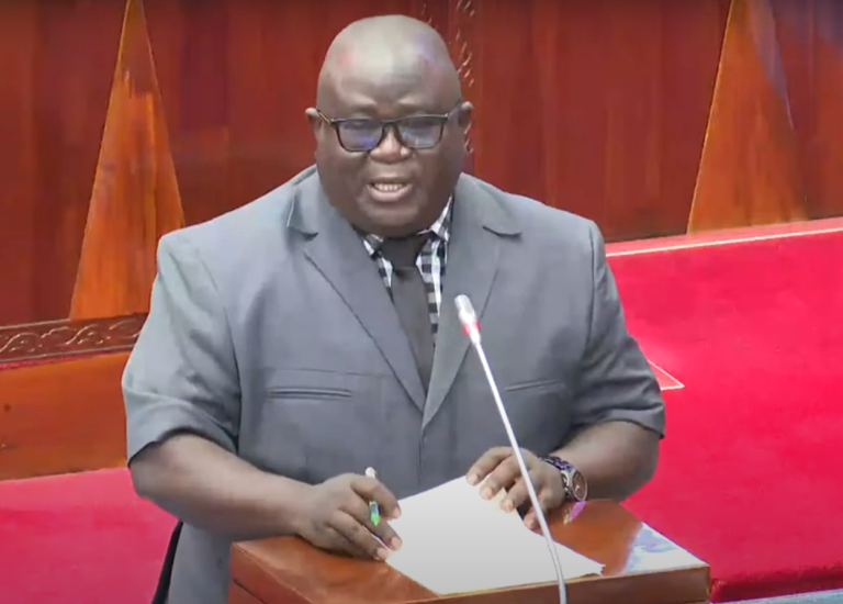 SERIKALI KUENDELEA NA UJENZI WA BARABARA YA KWIMBA – MAGU KM 71