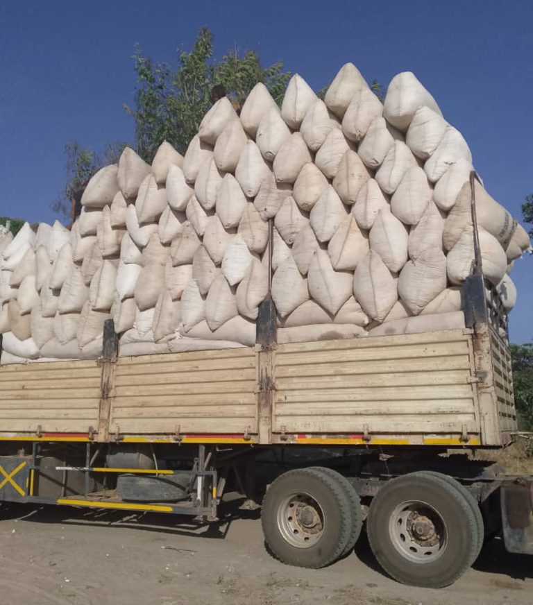 KIJANI HAI YAFIKIA WAKULIMA ELFU 60.000 WA PAMBA