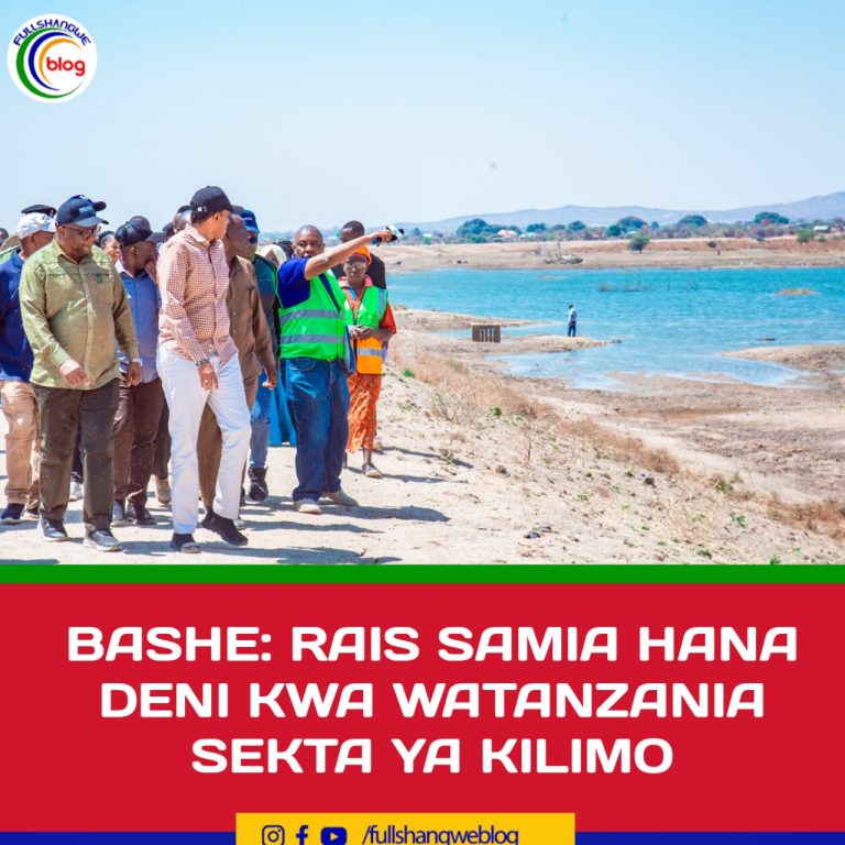 BASHE: RAIS SAMIA HANA DENI KWA WATANZANIA SEKTA YA KILIMO