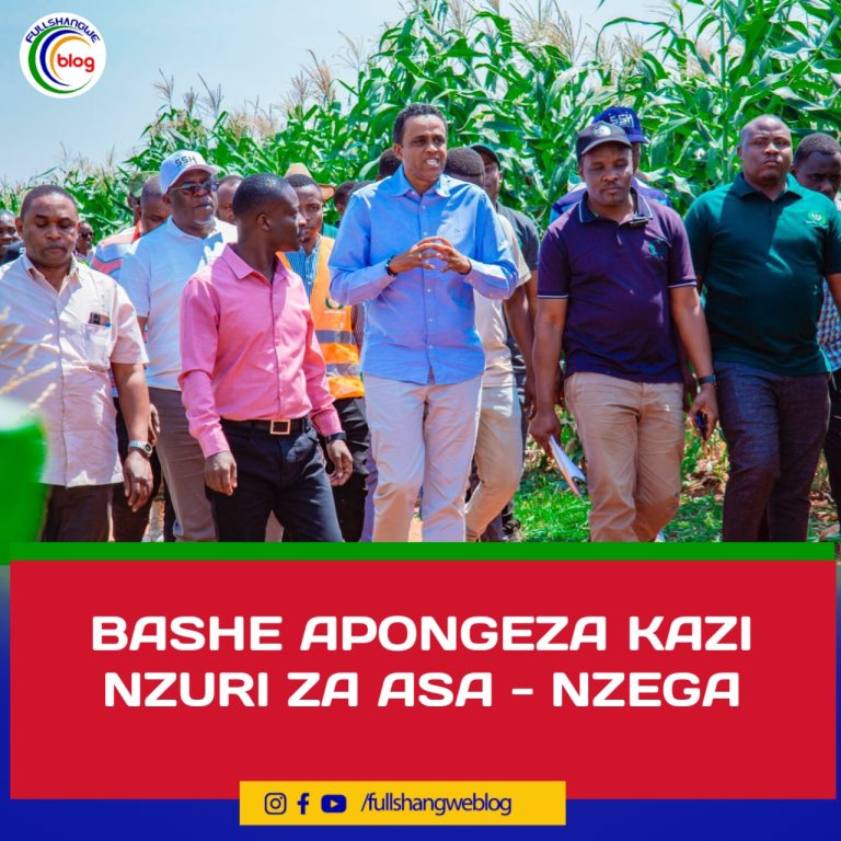 BASHE APONGEZA KAZI NZURI ZA ASA – NZEGA