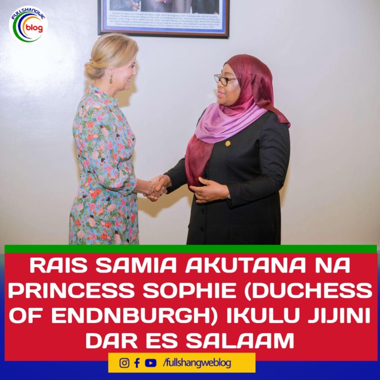 RAIS SAMIA AKUTANA NA PRINCESS  SOPHIE (DUCHESS OF ENDNBURGH) IKULU JIJINI DAR ES SALAAM