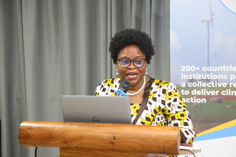 TANZANIA YANUFAIKA NA FEDHA ZA MIRADI YA NISHATI JADIDIFU