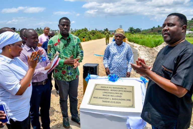 BASHUNGWA -SERIKALI IPO MBIONI KUJENGA DARAJA LA MZINGA ILI KUONDOA KERO YA FOLENI DAR ES SALAAM -KILWA