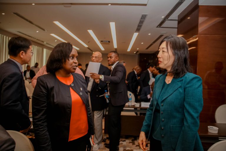 BENKI YA NMB YAJIZATITI KUWEZESHA MA KAMPUNI YA KOREA KUSINI  YANAYOTEKELEZA MIRADI NCHINI