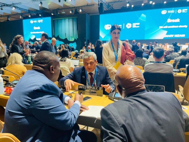 KATIBU MKUU LUHEMEJA AKISHIRIKI MKUTANO WA COP29