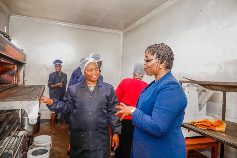 NAIBU KATIBU MKUU MDEMU APONGEZA JITIHADA WANAWAKE KUJIKWAMUA KIUCHUMI