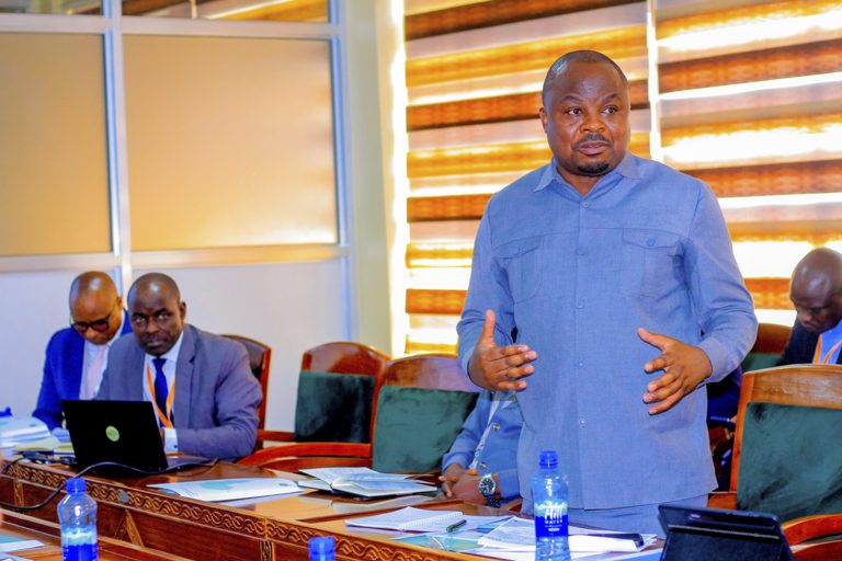 NAIBU WAZIRI SANGU: e-GA NI TAASISI NYETI KWA USALAMA WA NCHI 