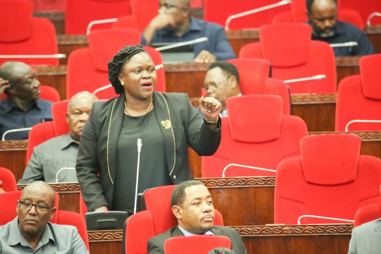 KAPINGA ASEMA MAFANIKIO KATIKA SEKTA YA NISHATI YANATOKANA NA JITIHADA ZA RAIS SAMIA