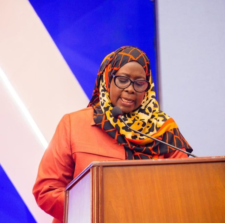 WAWEKEZAJI WAKARIBISHWA TANZANIA, KUNA RASILIMALI MADINI YA KUTOSHA