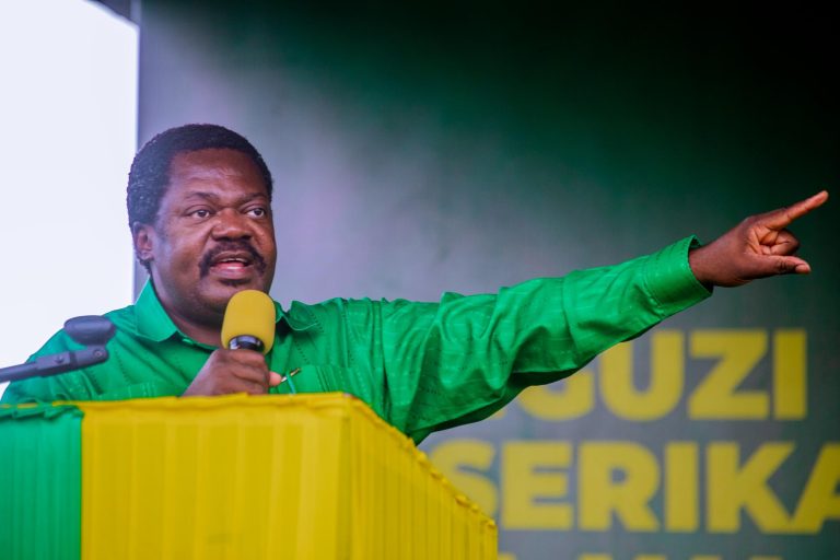 MKAKATI: CCM IKIHITIMISHA KAMPENI KWA KISHINDO