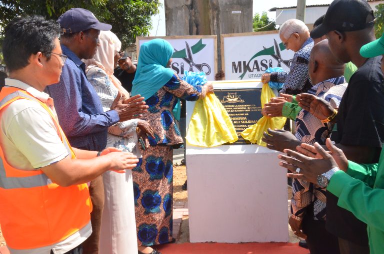 WAZIRI DK HAROUN ALI SULEIMAN AWEKA JIWE LA MSINGI BARABARA ZA MUUNGANO JANGOMBE,MIEMBENI,KIDONGOCHEKUNDU-MENTAL HOSPITALI NA ZA KARIBU YAKE ZANZIBAR
