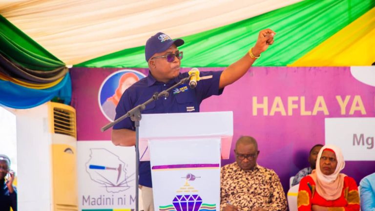 SERIKALI YABAINISHA MIKAKATI YA KUREJESHA HADHI YA MADINI YA TANZANITE