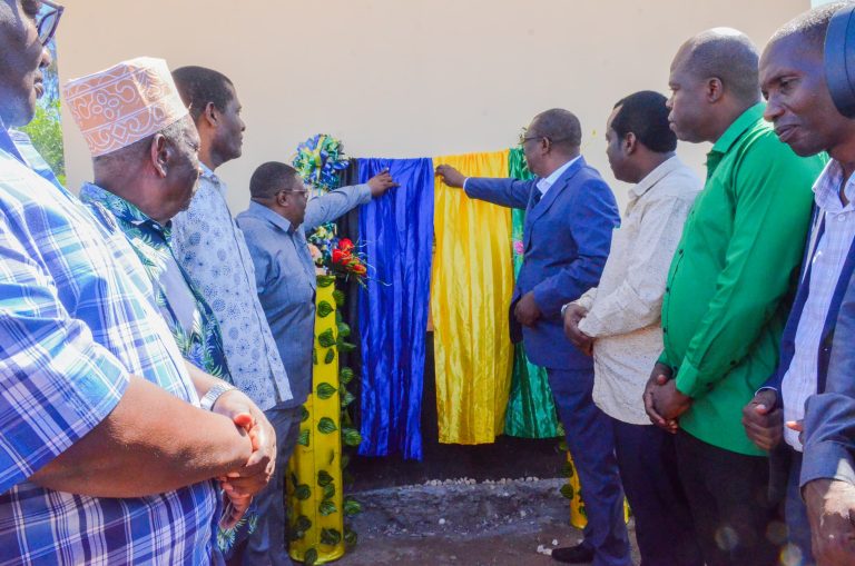 UFUNGUZI WA MRADI WA KIWANJA CHA KUFURAHISHIA WATOTO PAJE MKOA WA KUSINI UNGUJA