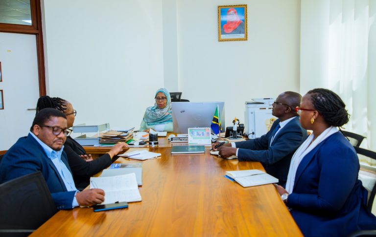 NAIBU KATIBU MKUU WIZARA YA FEDHA ATETA NA RAIS WA IIA -TANZANIA