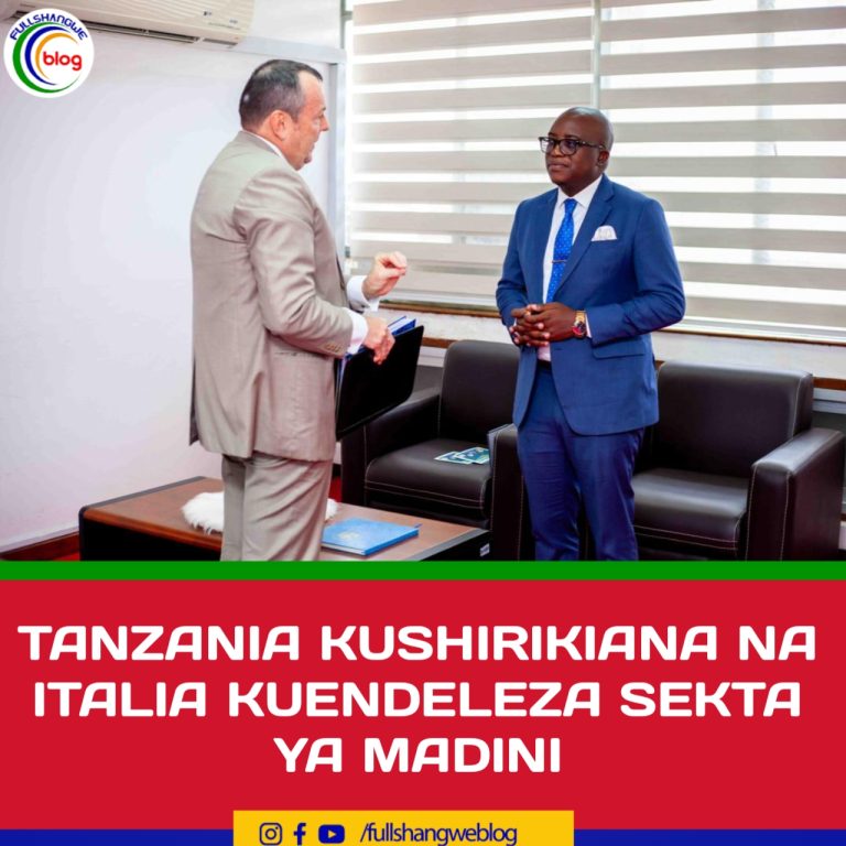 TANZANIA KUSHIRIKIANA NA ITALIA KUENDELEZA SEKTA YA MADINI