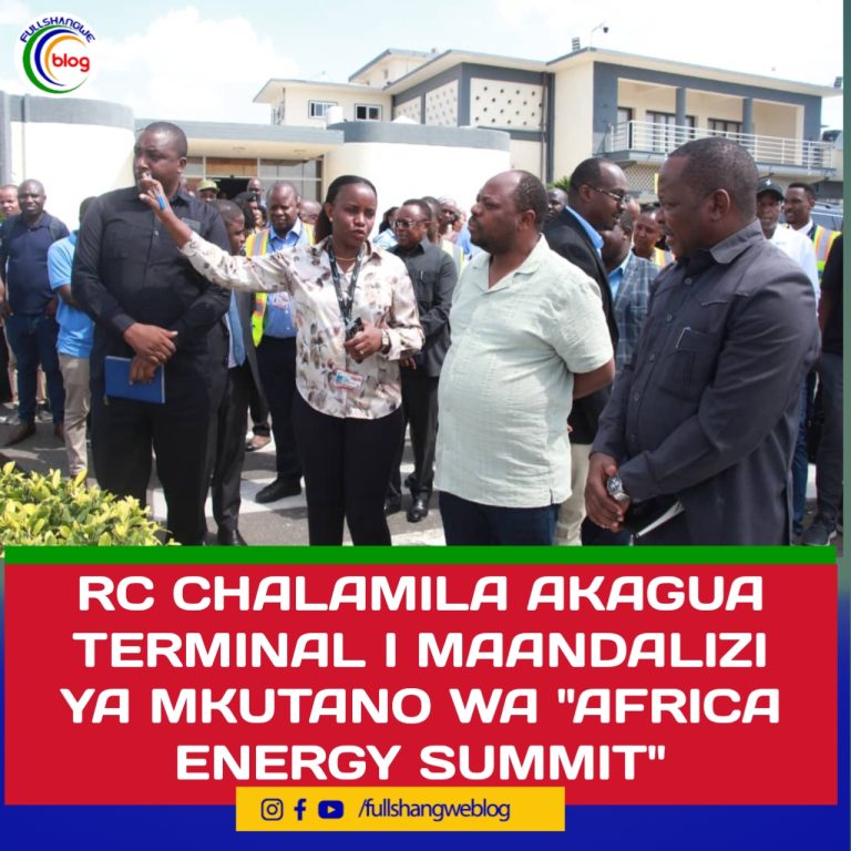 RC CHALAMILA AKAGUA MAANDALIZI YA MKUTANO WA “AFRICA ENERGY SUMMIT”