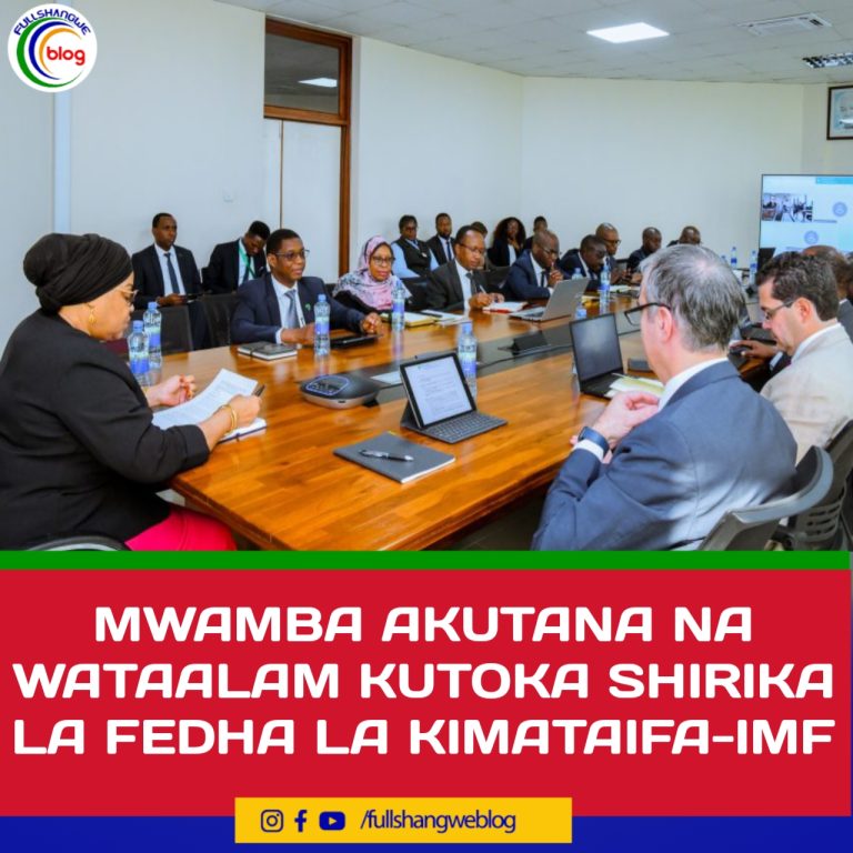 MWAMBA AKUTANA NA WATAALAM KUTOKA SHIRIKA LA FEDHA LA KIMATAIFA-IMF