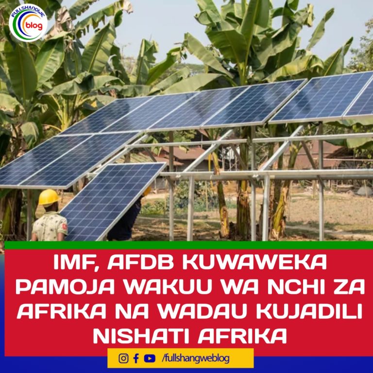 IMF, AFDB KUWAWEKA PAMOJA WAKUU WA NCHI ZA AFRIKA NA WADAU KUJADILI NISHATI AFRIKA