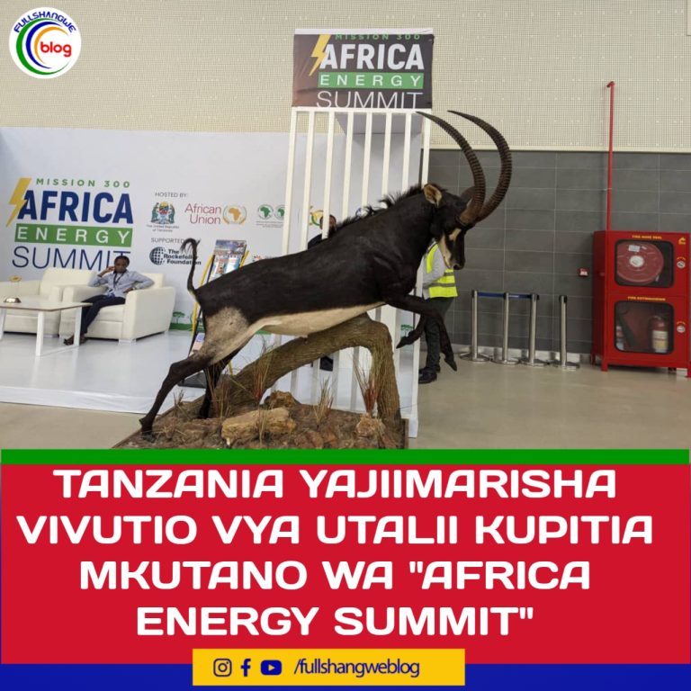 TANZANIA YAJIIMARISHA VIVUTIO VYA UTALII KUPITIA MKUTANO WA “AFRICA ENERGY SUMMIT”