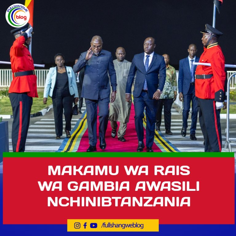 MAKAMU WA RAIS WA GAMBIA AWASILI NCHINIBTANZANIA