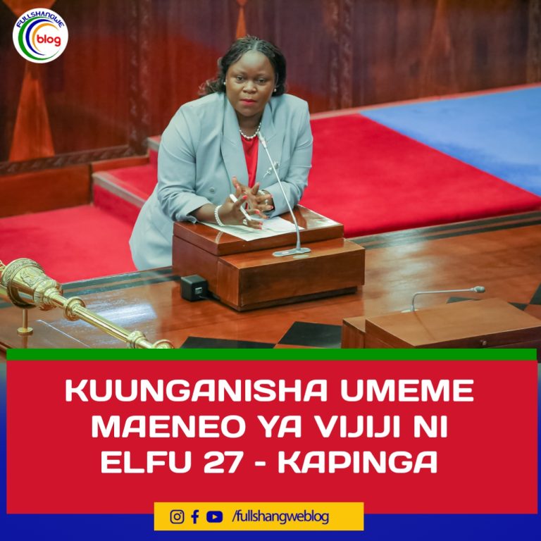 KUUNGANISHA UMEME MAENEO YA VIJIJI NI ELFU 27 – KAPINGA
