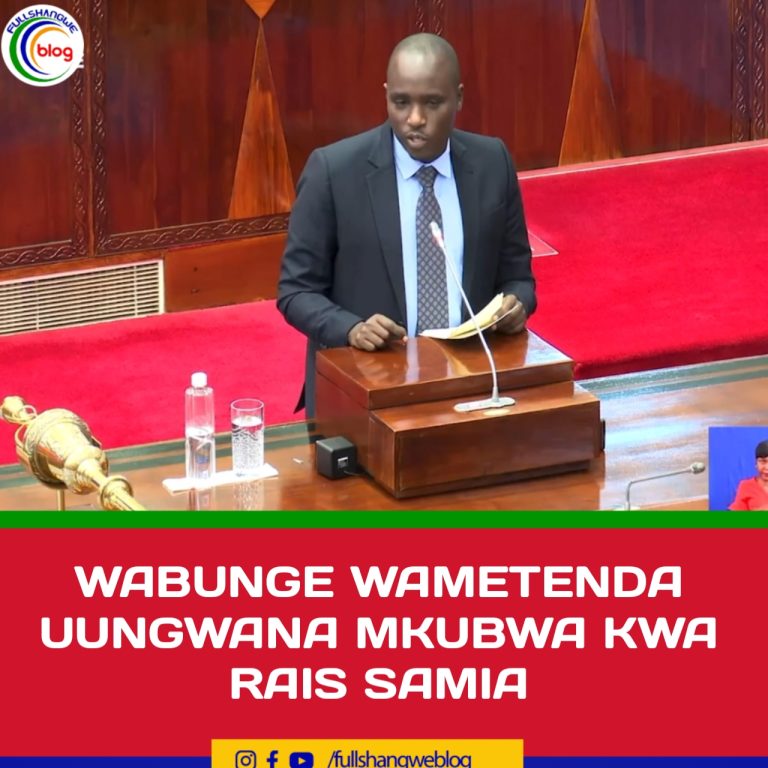 WABUNGE WAMETENDA UUNGWANA MKUBWA KWA RAIA SAMIA
