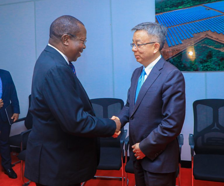MAKAMU WA RAIS MAZUNGUMZO NA MKURUGENZI WA IMF