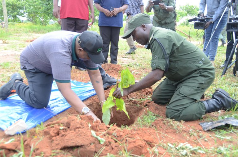 RUVUMA KUPANDA MITI MILIONI 6.9 MWAKA 2025