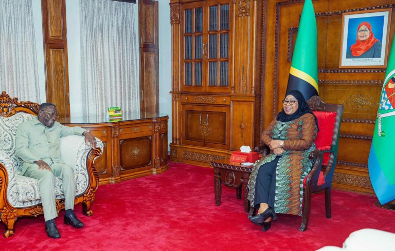 RAIS SAMIA AKUTANA NA MMOJA WAKUU WA MISHENI ZA UANGALIZI ZA SADC (SEOM)