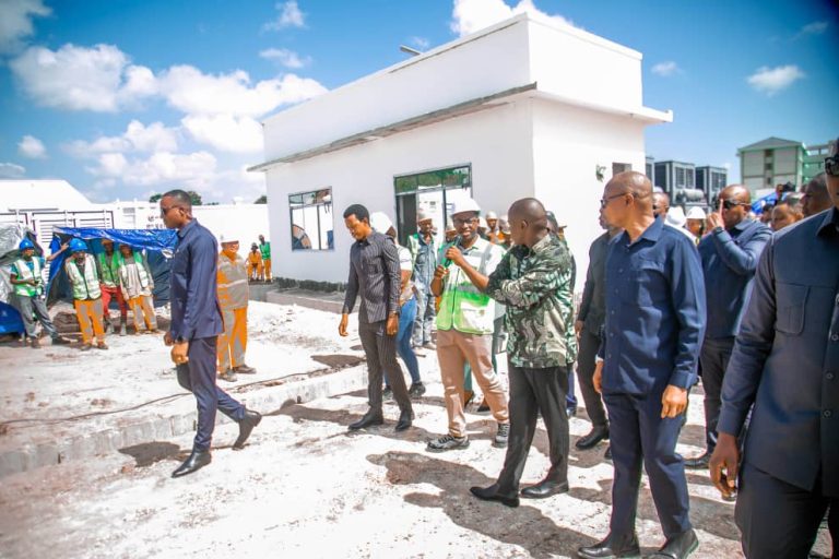 NAIBU WAZIRI WA NISHATI ALIPONGEZA SHIRIKAA PETROLI (TPDC)