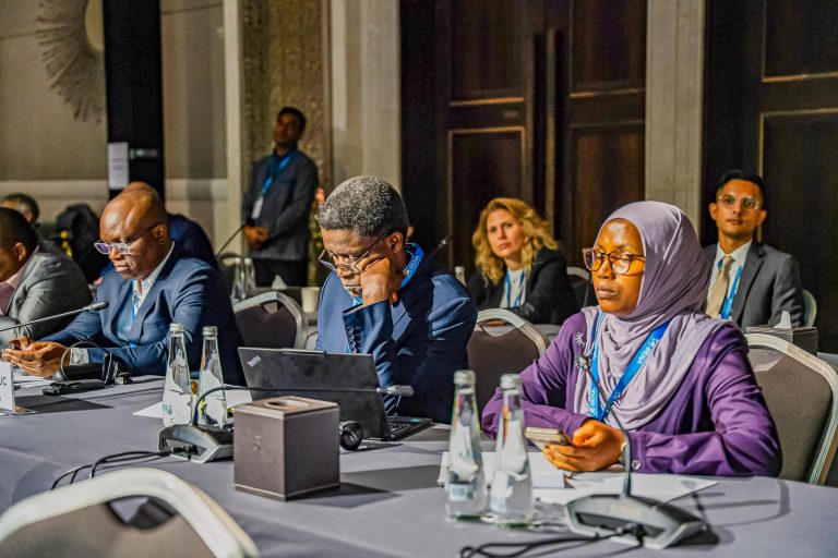 DKT KAZUNGU AINADI TANZANIA MIRADI YA NISHATI JADIDIFU UAE