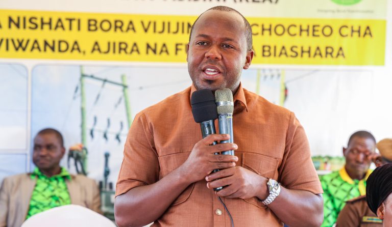 WANANCHI VIJIJINI WAHIMIZWA KUTUMIA UMEME KUJILETEA MAENDELEO