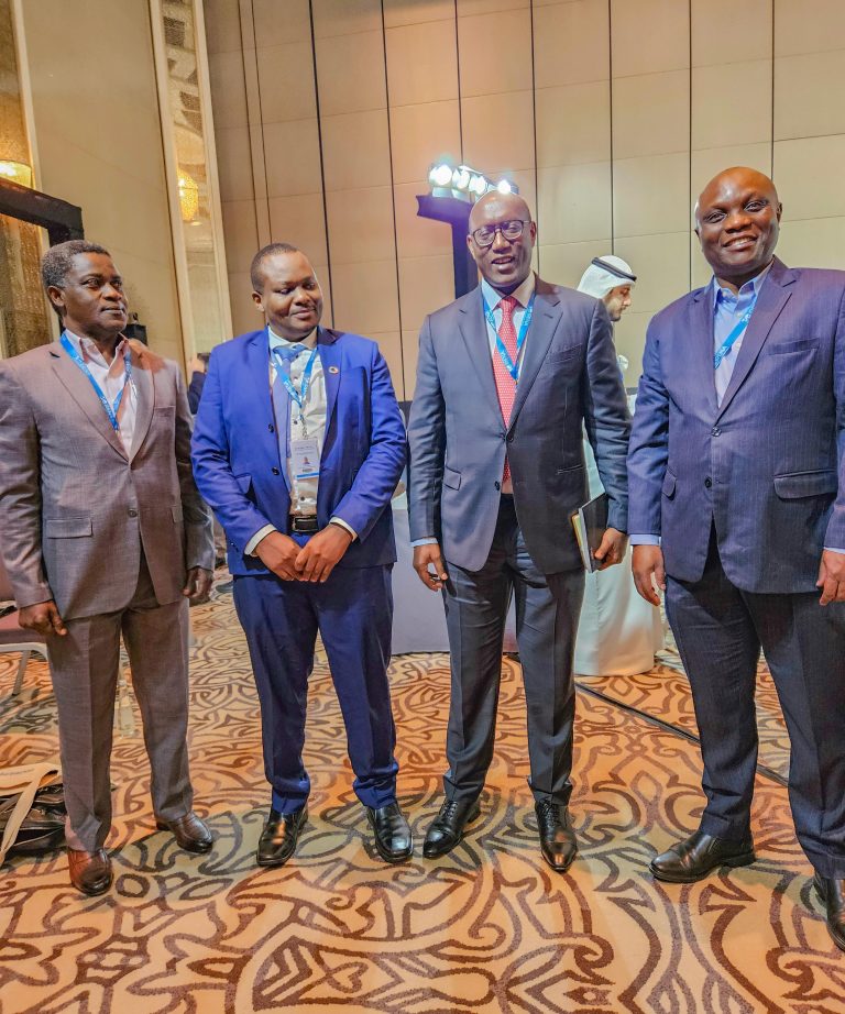 TANZANIA IPO TAYARI KUPOKEA WAKUU WA NCHI AFRIKA KATIKA MKUTANO WA NISHATI WA MISSION 300 -DKT.KAZUNGU