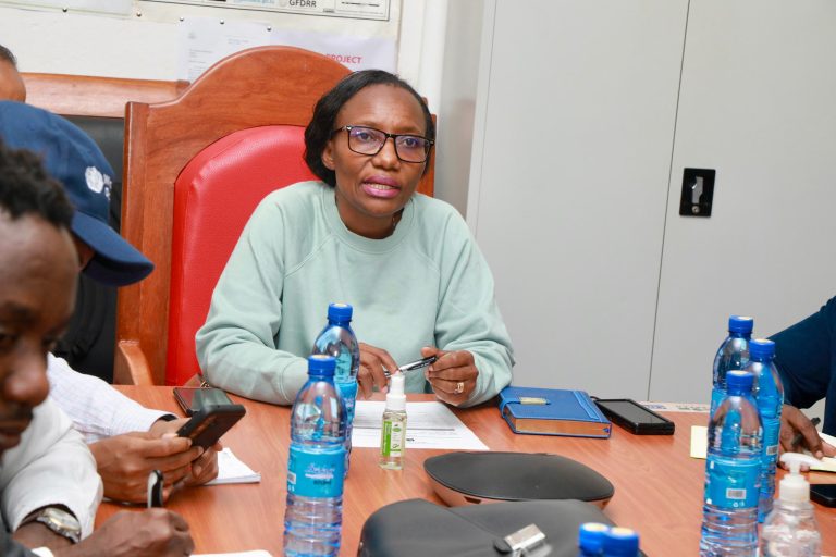 MGANGA MKUU WA SERIKALI AONGOZA KIKAO CHA WATAALAM NA WADAU WA SEKTA YA AFYA