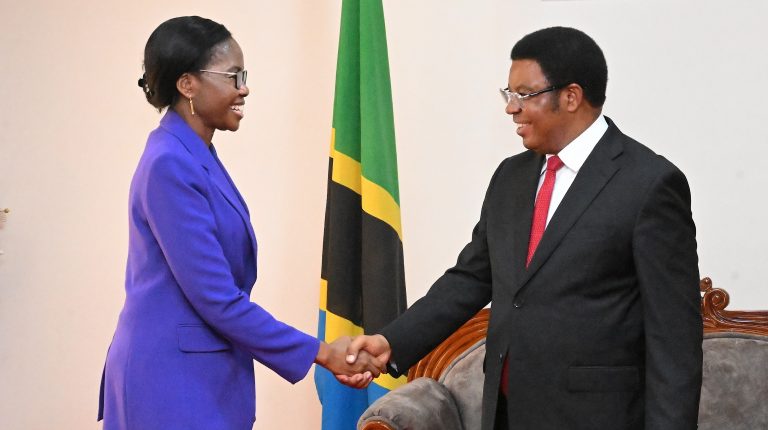 WAZIRI MKUU AKUTANA NA MTENDAJI MKUU WA BENKI YA NMB