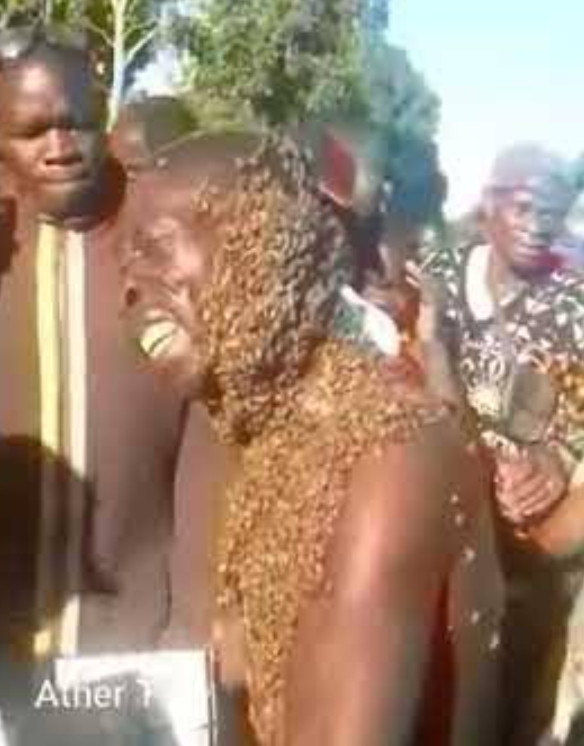 NYUKI WA MGANDA MWIZI MGONGONI NA KIFUANI