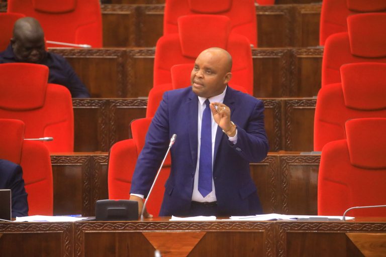 NAIBU WAZIRI KHAMIS AASA WATANZANIA KUENZI MUUNGANO