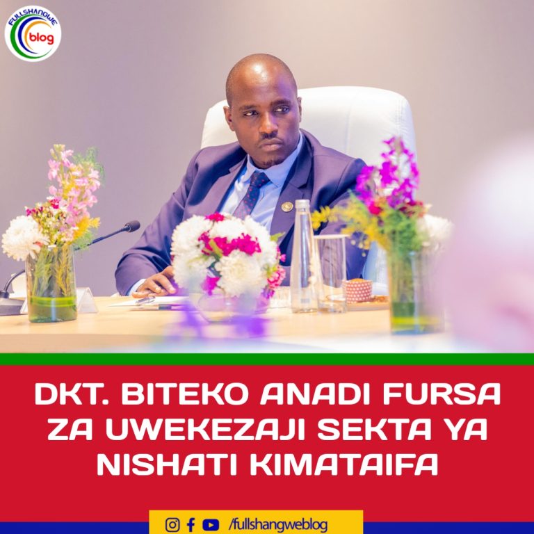 DKT. BITEKO ANADI FURSA ZA UWEKEZAJI SEKTA YA NISHATI KIMATAIFA